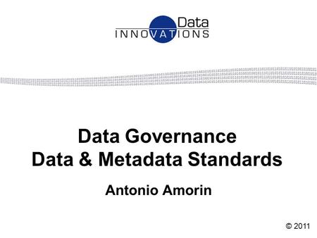 Data Governance Data & Metadata Standards Antonio Amorin © 2011.