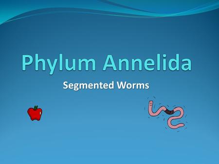 Segmented Worms. Diversity Live in all parts of the world (except Arctic and antarctic regions) Can be marine, freshwater, or terrestrial Approximately.