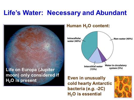 Life’s Water: Necessary and Abundant