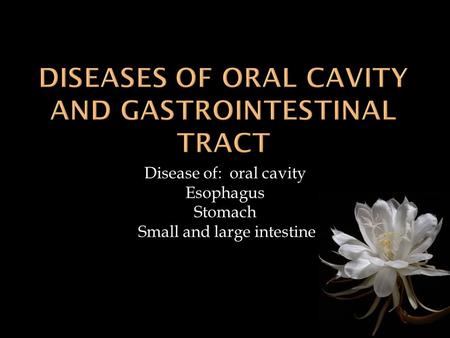 Disease of: oral cavity Esophagus Stomach Small and large intestine.