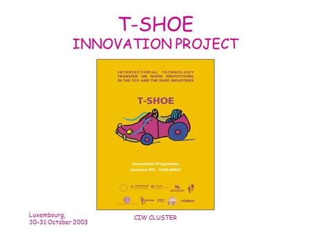 Luxembourg, 30-31 October 2003 CIW CLUSTER T-SHOE INNOVATION PROJECT.