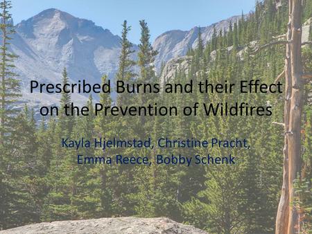 Prescribed Burns and their Effect on the Prevention of Wildfires Kayla Hjelmstad, Christine Pracht, Emma Reece, Bobby Schenk.