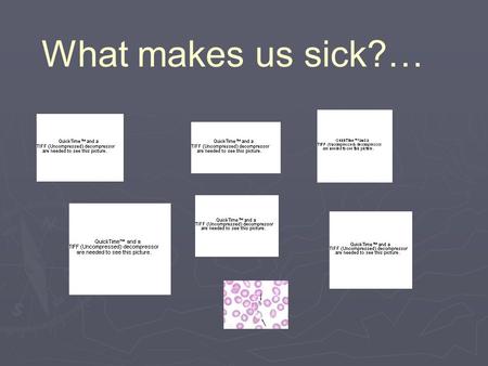 What makes us sick?… …pathogens make us sick  An organism or substance that causes disease  Contains an antigen- substance that triggers an immune.
