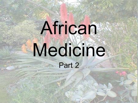 African Medicine Part 2.