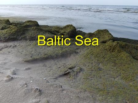 Baltic Sea. Water samples were taken: 1 – Ventspils; 2 – Liepāja; 3 – Mazirbe. Water samples were identified by the Latvian Institute of Aquatic.