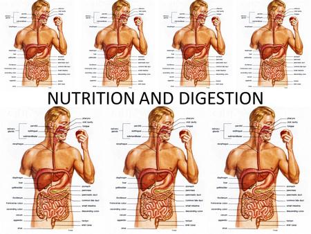 NUTRITION AND DIGESTION