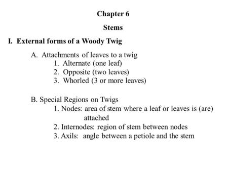 Chapter 6 Stems I. External forms of a Woody Twig A. Attachments of leaves to a twig 1. Alternate (one leaf) 2. Opposite (two leaves) 3. Whorled (3 or.