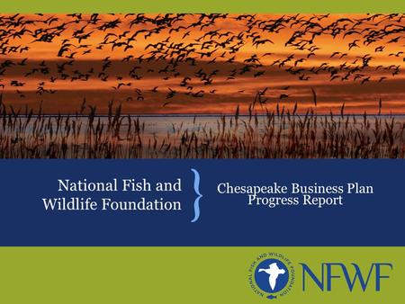 Chesapeake Business Plan Progress Report National Fish and Wildlife Foundation.