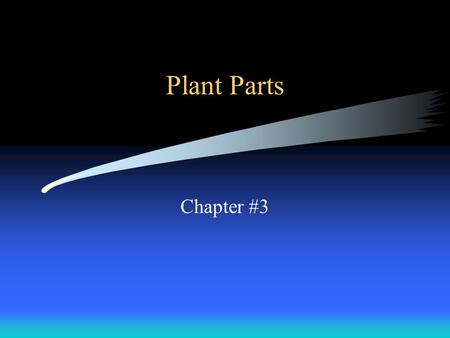 Plant Parts Chapter #3. What are the parts of a plant? Node: swollen part of stem where buds form (leaves or stems grow here) Cotyledons: leaves formed.