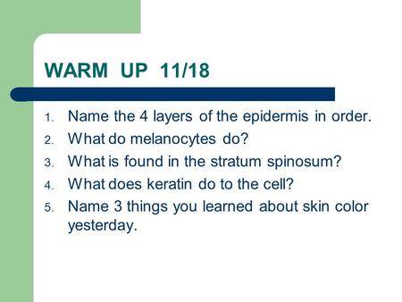WARM UP 11/18 1. Name the 4 layers of the epidermis in order. 2. What do melanocytes do? 3. What is found in the stratum spinosum? 4. What does keratin.