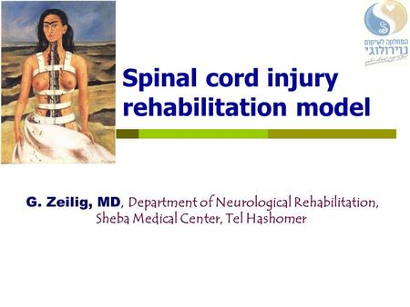 Spinal cord injury rehabilitation model