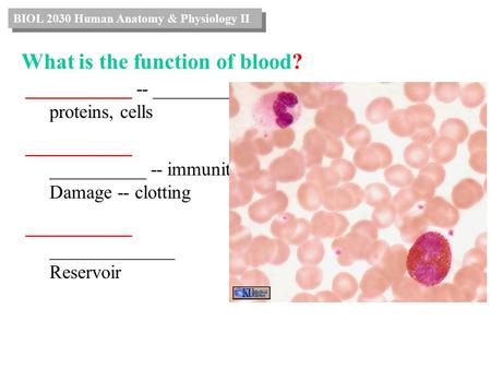 What is the function of blood? ___________ -- ________, proteins, cells ___________ __________ -- immunity Damage -- clotting ___________ _____________.