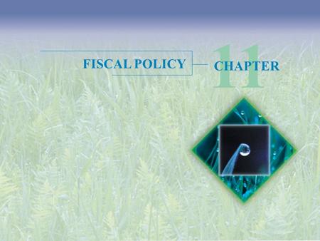 11 FISCAL POLICY CHAPTER.