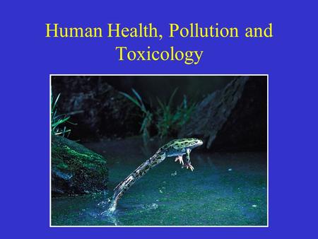 Human Health, Pollution and Toxicology