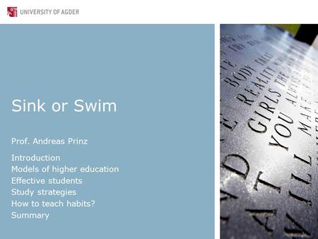 Sink or Swim Prof. Andreas Prinz Introduction Models of higher education Effective students Study strategies How to teach habits? Summary.