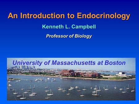 An Introduction to Endocrinology Kenneth L. Campbell Professor of Biology University of Massachusetts at Boston.