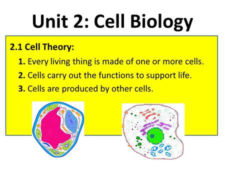 Unit 2: Cell Biology 2.1 Cell Theory: