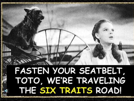 FASTEN YOUR SEATBELT, TOTO, WE’RE TRAVELING THE SIX TRAITS ROAD!