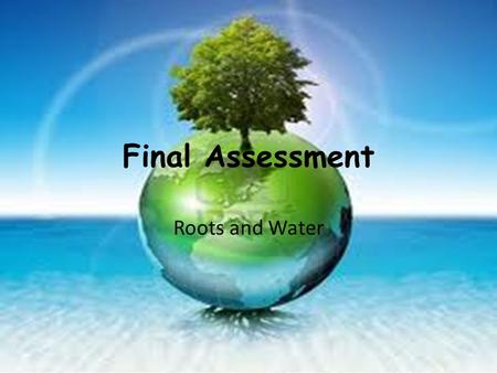 Final Assessment Roots and Water. M.L.O To prepare for and plan your essay.