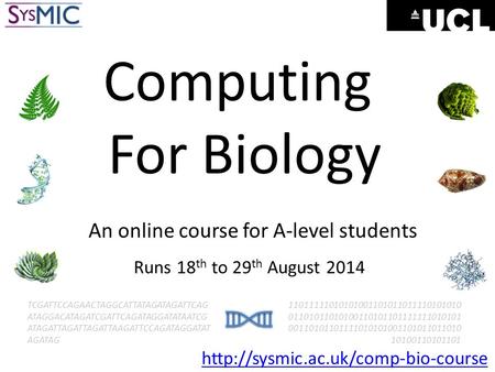 Computing For Biology An online course for A-level students Runs 18 th to 29 th August 2014 TCGATTCCAGAACTAGGCATTATAGATAGATTCAG ATAGGACATAGATCGATTCAGATAGGATATAATCG.