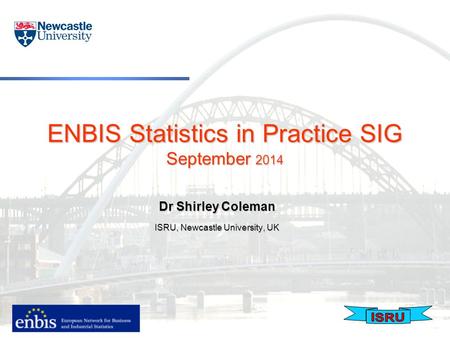 ENBIS Statistics in Practice SIG September 2014 Dr Shirley Coleman ISRU, Newcastle University, UK.