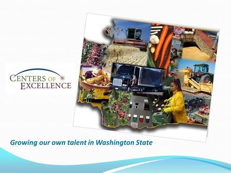 Growing our own talent in Washington State. Vision Translate industry research into best practices Provide system coordination, coaching, and mentoring.