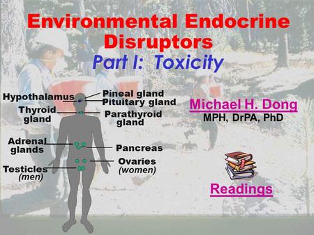 Environmental Endocrine