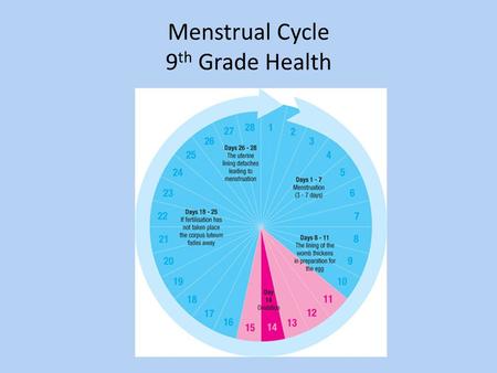 Menstrual Cycle 9 th Grade Health. Menstrual Cycle The cycle begins when an______starts to mature in one of the ______________. Egg Ovaries.