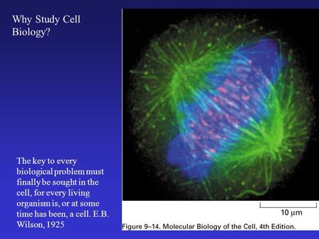 Cell Biology 4/21/2017 Why Study Cell Biology?
