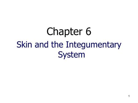 1 Chapter 6 Skin and the Integumentary System. 2  Introduction: A.Organs are body structures composed of two or more different tissues. B.The skin and.