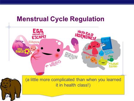 Menstrual Cycle Regulation
