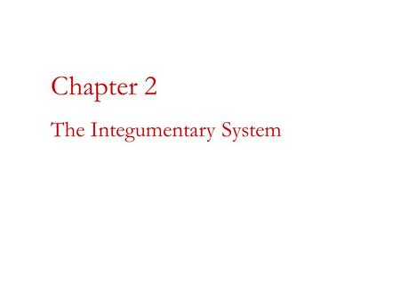 Chapter 2 The Integumentary System