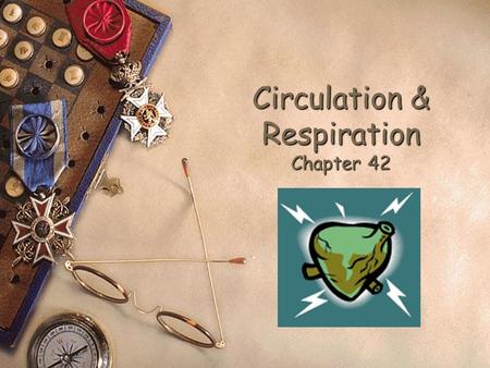 Circulation & Respiration Chapter 42