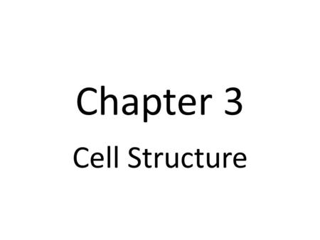 Chapter 3 Cell Structure.