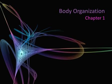 Body Organization Chapter 1.