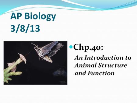 AP Biology 3/8/13 Chp.40: An Introduction to Animal Structure and Function.