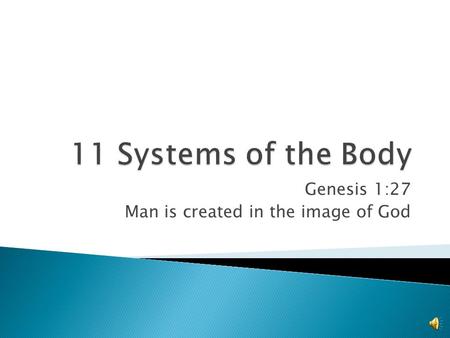 Genesis 1:27 Man is created in the image of God  Circulatory system ◦ Transports blood through the body ◦ 4 main functions:  Fuel to the body  Waste.