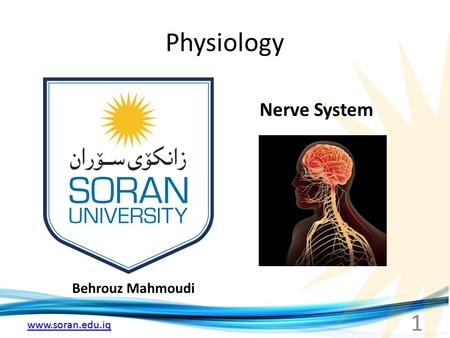 Www.soran.edu.iq Physiology Behrouz Mahmoudi Nerve System 1.