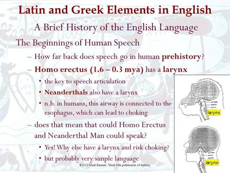 Latin and Greek Elements in English A Brief History of the English Language The Beginnings of Human Speech –How far back does speech go in human prehistory?
