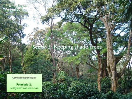 ©2009 Rainforest Alliance Session 5: Keeping shade trees Language: English Version: 2011 Corresponding principle: Principle 2. Ecosystem conservation Corresponding.