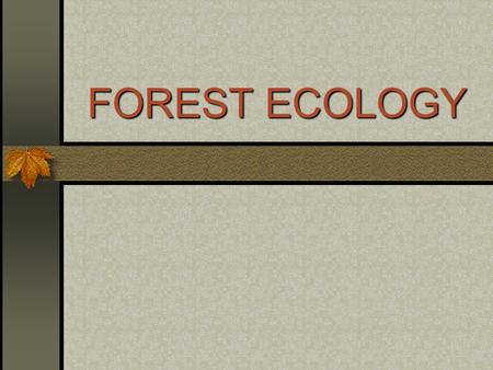 FOREST ECOLOGY. The Environment Soil Water Nutrients Air Sunlight.