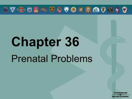 Chapter 36 Prenatal Problems. © 2005 by Thomson Delmar Learning,a part of The Thomson Corporation. All Rights Reserved 2 Overview  Conception and Pregnancy.