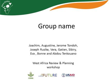 Group name Joachim, Augustine, Jerome Tondoh, Joseph Rusike, Vera, Gatien, Sibiry, Eva, Bonne and Abdou Tenkouano West Africa Review & Planning workshop.