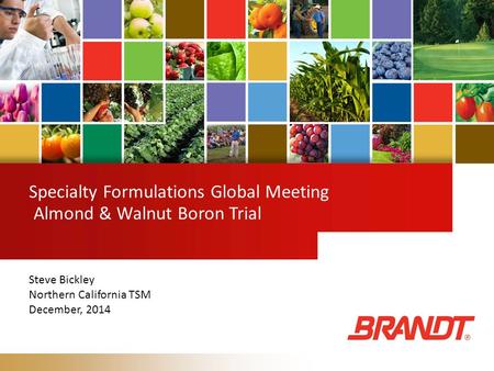 Specialty Formulations Global Meeting Almond & Walnut Boron Trial Steve Bickley Northern California TSM December, 2014.