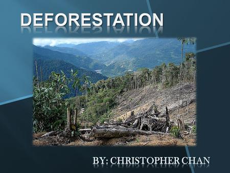 Deforestation By: Christopher Chan.