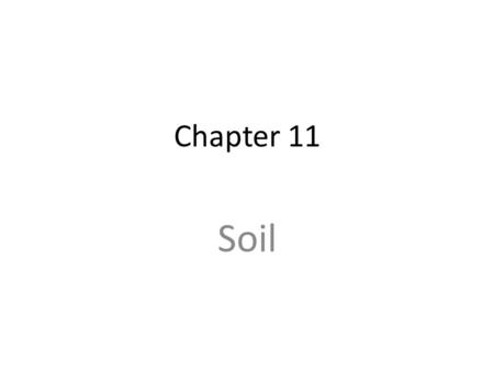 Chapter 11 Soil.