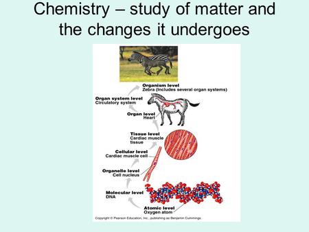 Chemistry – study of matter and the changes it undergoes