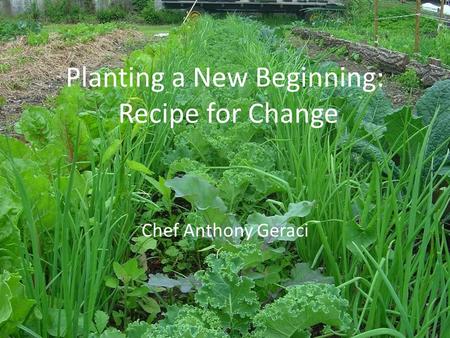 Planting a New Beginning: Recipe for Change Chef Anthony Geraci.