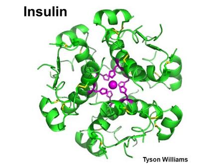 Insulin Tyson Williams. Source of Insulin Insulin is a naturally occurring hormone secreted by the pancreas. Though there is synthetic insulin created.