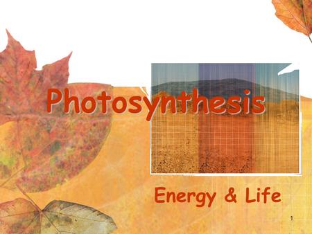 1 Photosynthesis Energy & Life. 2 Overview of Photosynthesis.